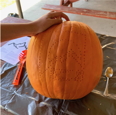 NOLS pumpkin in the process of being carved
