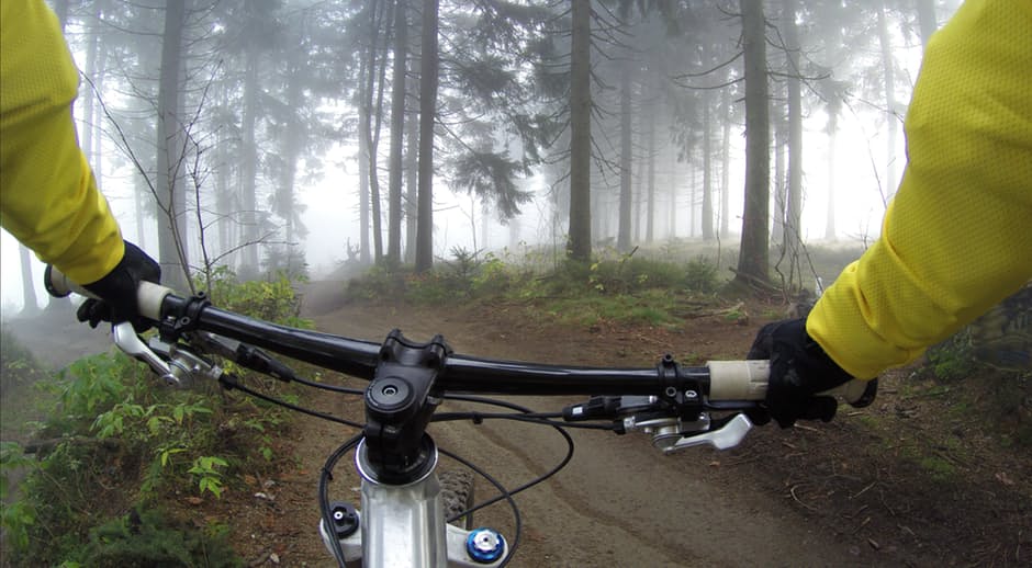 looking over the handlebars of a mountain bike at a dirt path winding through trees on a foggy day