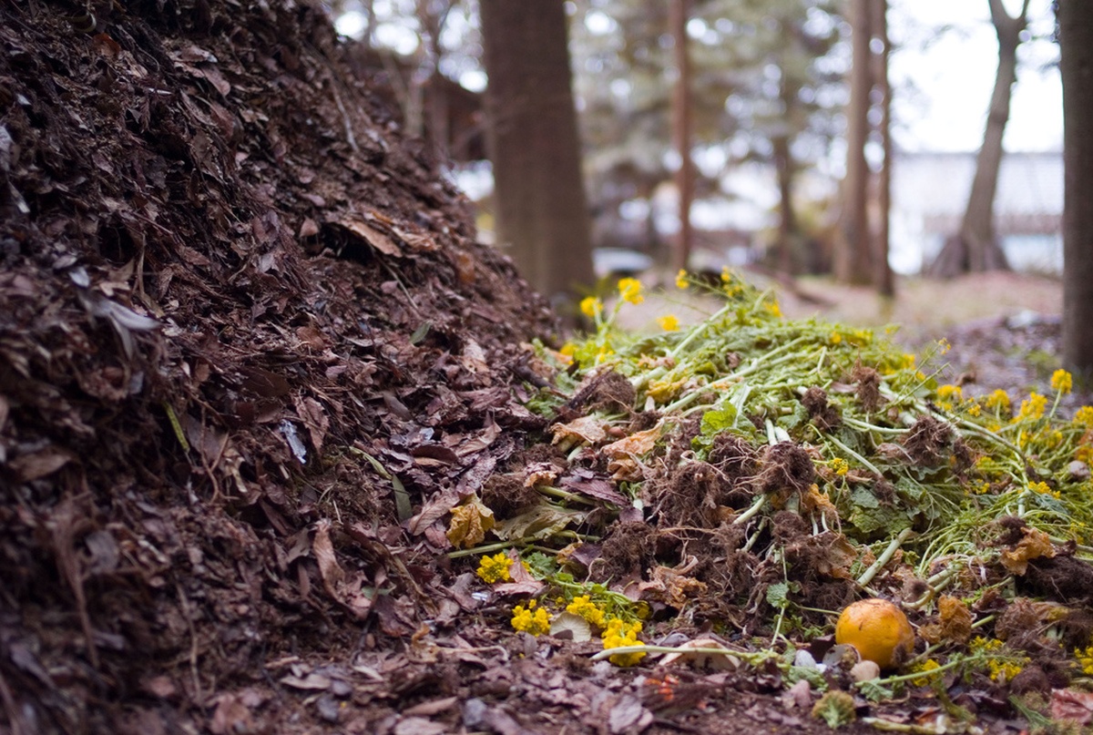 compost pile with organic materialN